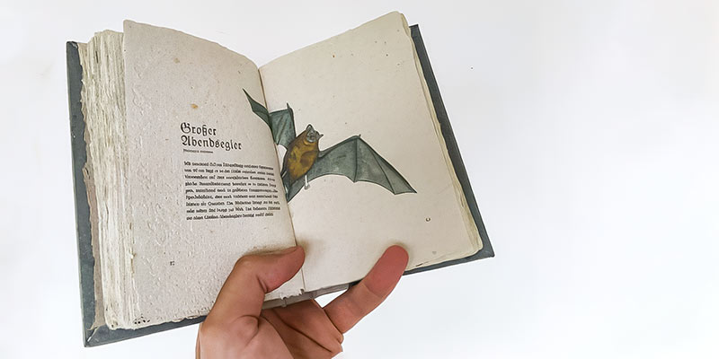 moorbuch_Reproduktion